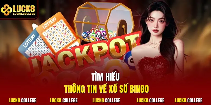 Tìm hiểu thông tin về xổ số Bingo