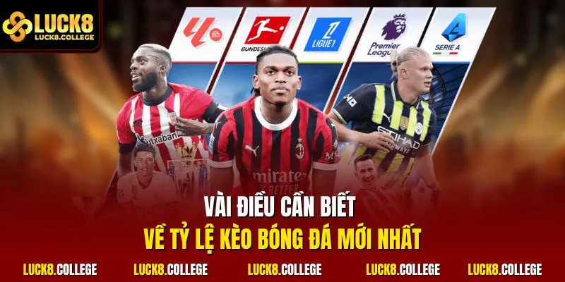 Vài điều cần biết về tỷ lệ kèo bóng đá mới nhất
